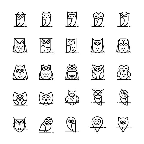 ilustraciones, imágenes clip art, dibujos animados e iconos de stock de colección de iconos de vector búho en estilo de línea. - owl