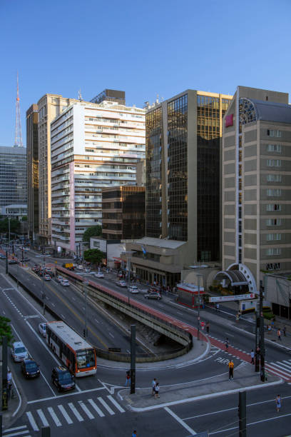 istock Paulista Avenue - Brazil 1127146177