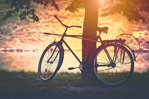 Vintage bicycle by tree at sunset with butterfly net attached. Sun in background, soft look. Belarus, Europe,