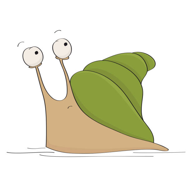 70 Eating Snails Illustrations & Clip Art - iStock | Escargot