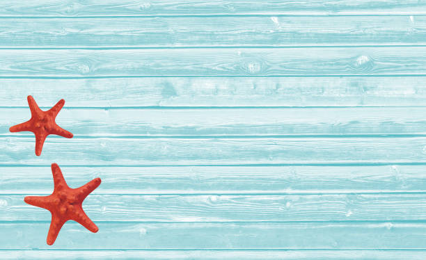 istock Blue wooden plank texture with sea stars. 1127149859