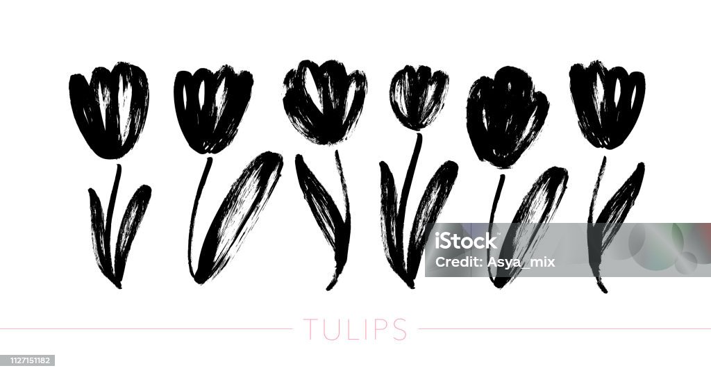 Collection of hand drawn graphic tulips. Vector floral clip art elements. Collection of hand drawn graphic tulips. Floral clip art elements. Branches, leaves and buds. Vector set of beautiful silhouettes flowers tulips. Ink illustration isolated on white background. Flower stock vector