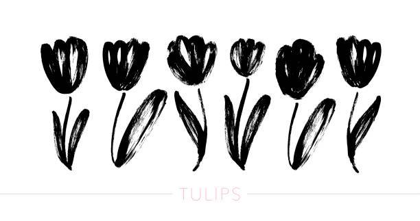 Collection of hand drawn graphic tulips. Vector floral clip art elements. Collection of hand drawn graphic tulips. Floral clip art elements. Branches, leaves and buds. Vector set of beautiful silhouettes flowers tulips. Ink illustration isolated on white background. paint silhouettes stock illustrations