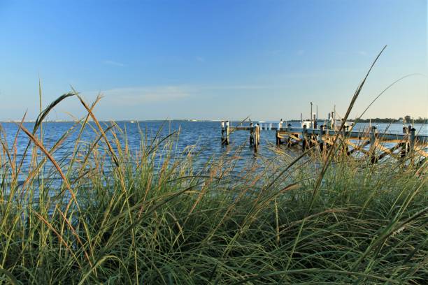 istock Dock behind grasses on ocean bay 1127154148