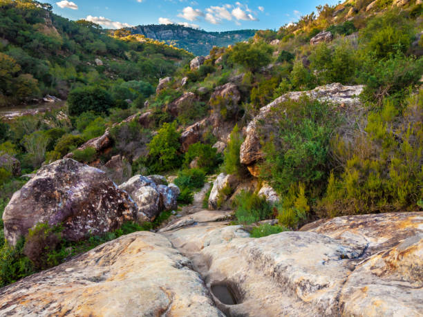 istock Hiking way in the mountains 1127157284