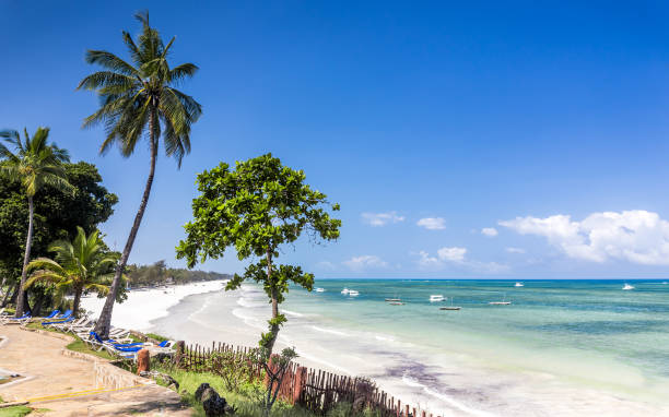 istock Amazing Diani beach seascape, Kenya 1127157342