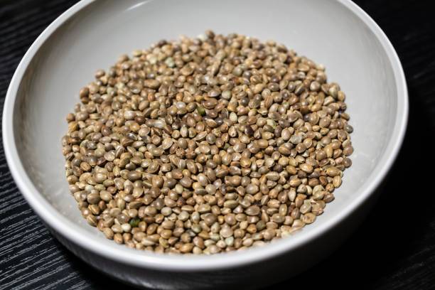 istock Hemp seeds in the bowl. 1127157729