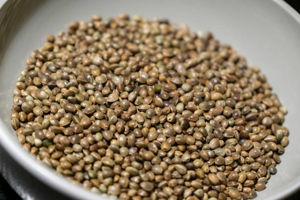 istock Hemp seeds in the bowl. 1127157763