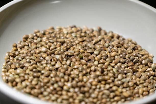 istock Hemp seeds in the bowl. 1127157814
