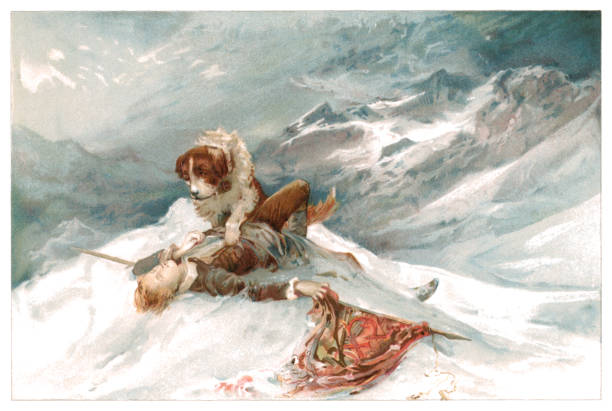 istock St Bernard dog finding a dead or injured mountaineer in the snow 1127158945