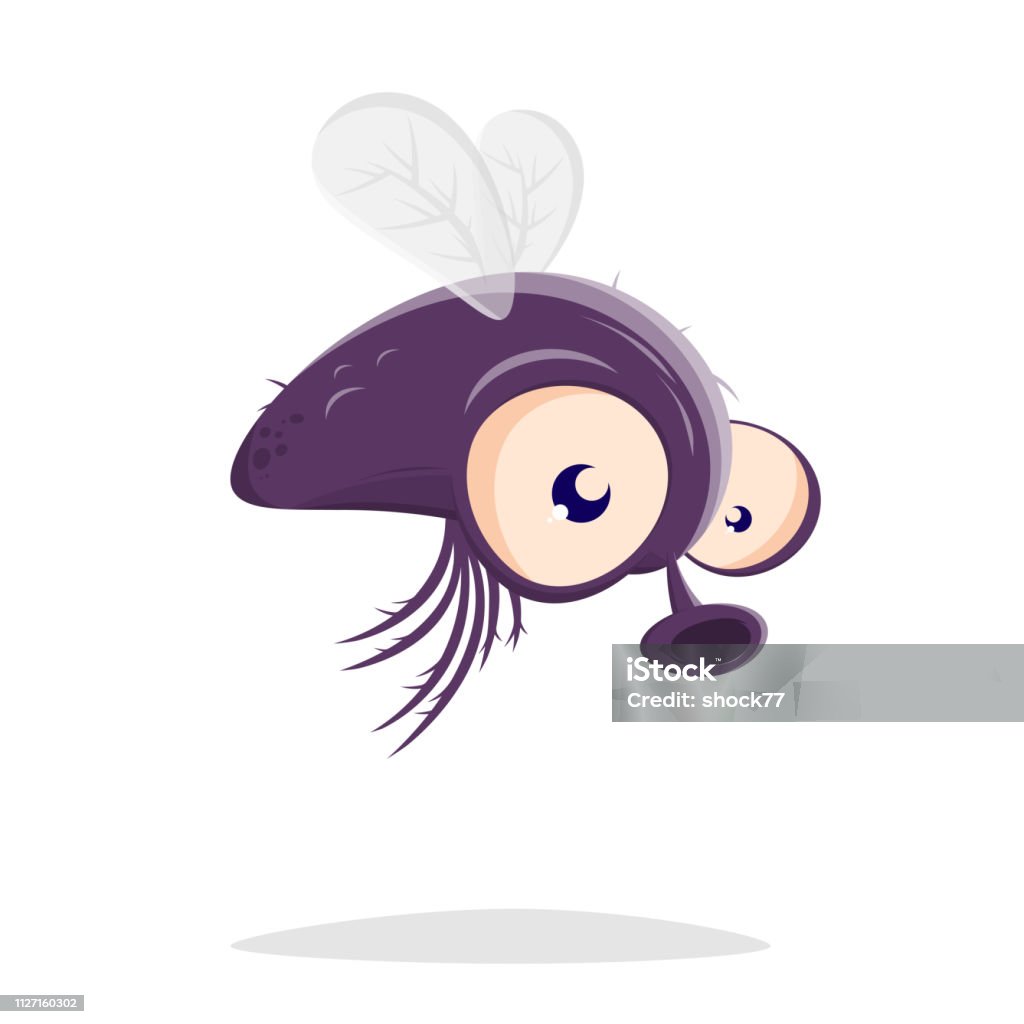 funny cartoon illustration of a fly Animal stock vector