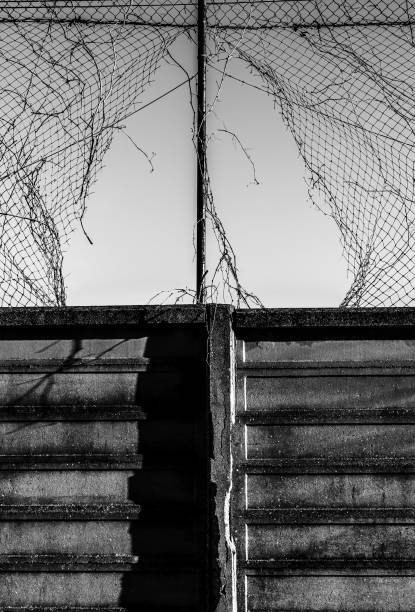 istock Broken fence leading to somewhere 1127163710