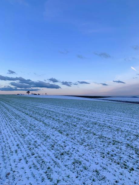 Winter landscape covered with snow in Friesland.