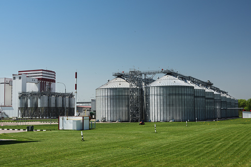 Large modern plant for processing grain crops. Industrial landscape. Row of granaries in sunny summer day copyspace