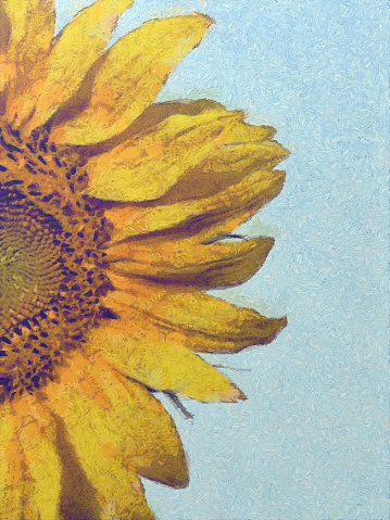 Painting of Sunflower closeup on summer day