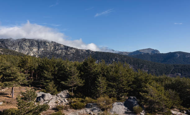 istock Mountains and wild forests full of color 1127170436