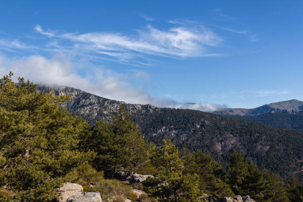 istock Mountains and wild forests full of color 1127170493