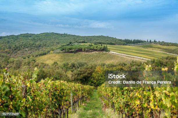Italy Roma Siena Stock Photo - Download Image Now - Agricultural Field, Agriculture, Beauty