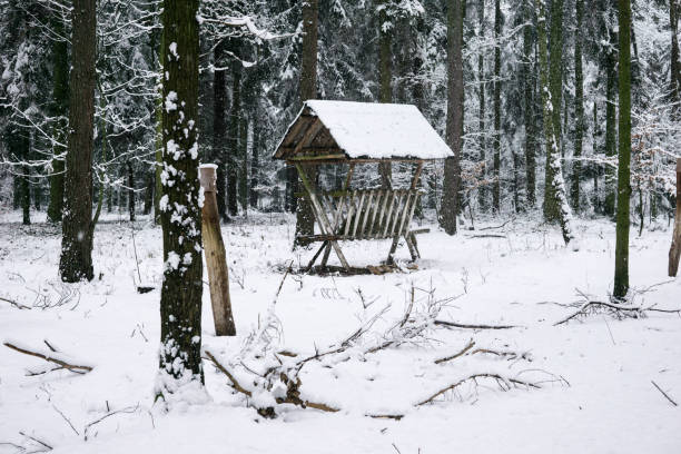 animal feeding rack , pasture in winter to help animals to survive harsh winter in Lower Silesian Forests in Poland