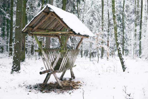 istock animal feeding rack in winter 1127173887