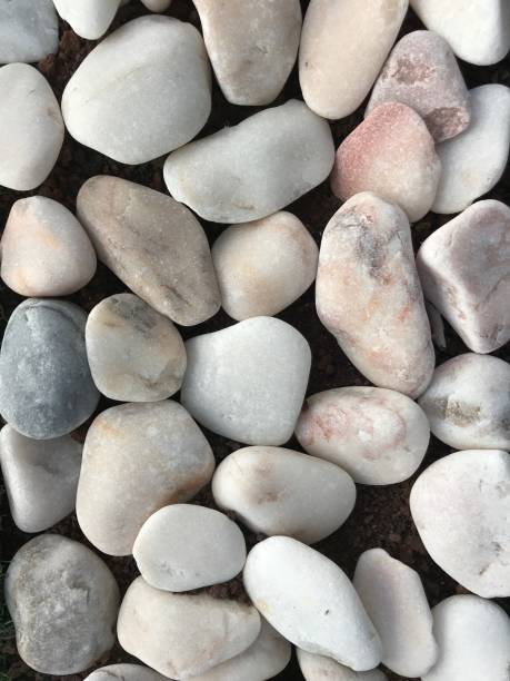 istock Natural rounded small white stones texture or background top-view 1127175448