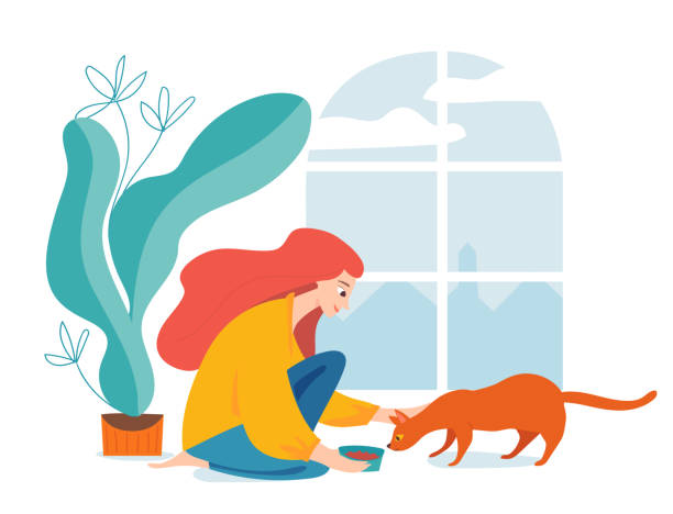 Hygge illustration with a woman feed a cat vector art illustration