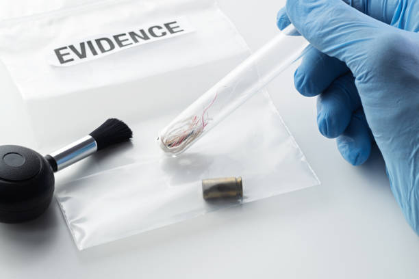 Forensic scientist's hand holding glass tube over evidence bag next to brush stock photo