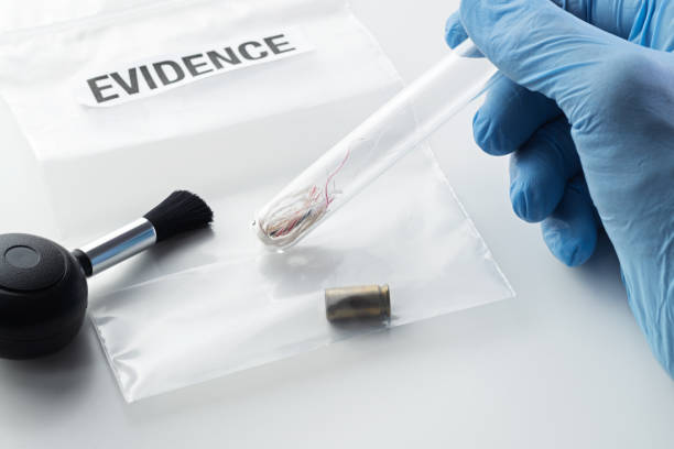 Forensic scientist's hand holding glass tube over evidence bag next to brush Closeup of forensic scientist's hand in blue rubber glove holding glass tube over evidence bag with 9 mm bullet case next to blower brush. Crime, forensic science, investigation and violence concepts. witness tubes stock pictures, royalty-free photos & images