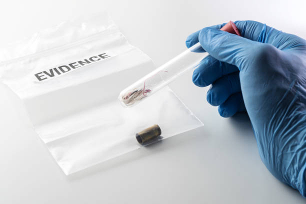 Forensic scientist's hand holding glass tube over evidence bag with bullet case stock photo