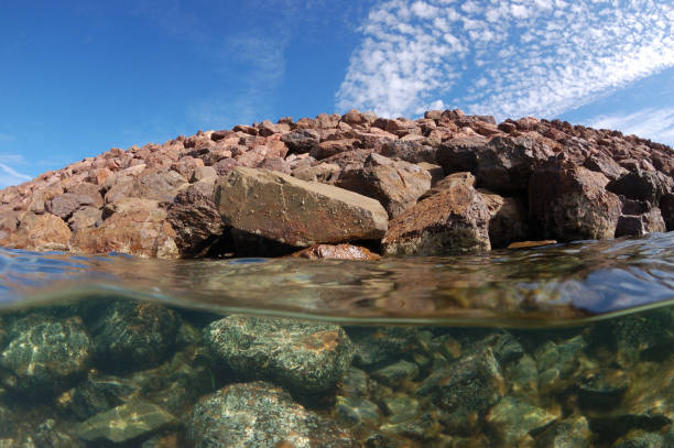 istock Rocky shoreline at Whyalla, South Australia 1127178008