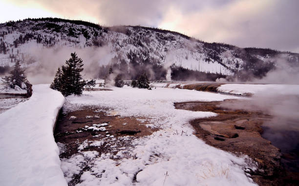 istock Yellowstone National Park 1127186361