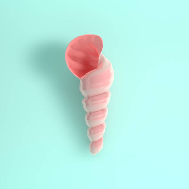Pink glossy seashell with shadow on a pastel green background. 3d render illustration. Ocean fauna underwater nautilus shell. Summer image for postcard, banner, card.