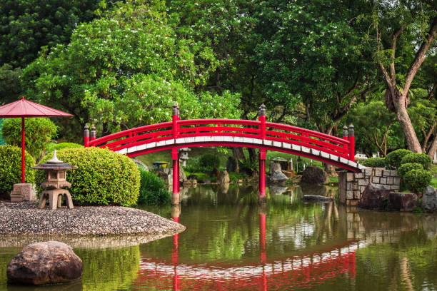 pont en bois rouge au jardin japonais - japanese culture landscape landscaped ornamental garden photos et images de collection