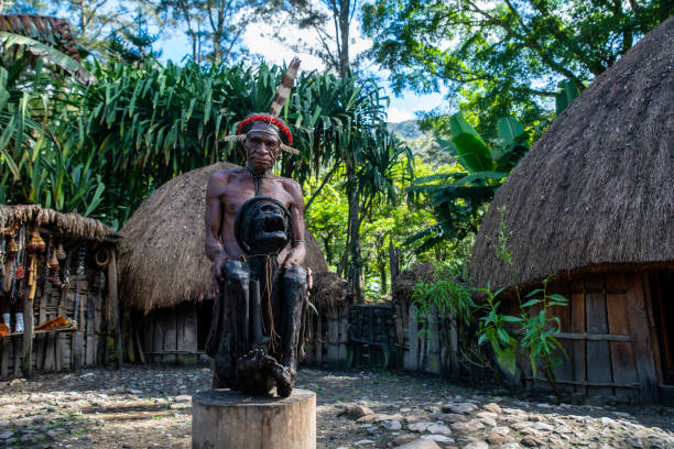 Elder man of the Dani tribe presenting an Ancient mummy, West-Papua Baliem-Valley, New Guinea, Indonesia - August 22, 2017: Elder war chief of the Dani  people (also spelled as Ndani) is presenting an ancient (approx. 300 years old)  Mummy of a former great chief of the Dani  people (also spelled as Ndani). The mummy sits in a hut of the village and is not kept in a museum or behind glass. The Dani inhabit the Baliem Valley in the central highlands of West Papua (the Indonesian part of New Guinea). dani stock pictures, royalty-free photos & images