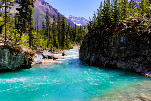Canadian Rockies - Kootenay stock photo