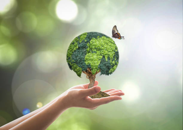 istock Green globe tree on volunteer's hand for sustainable environment and natural conservation  in CSR concept 1127202637
