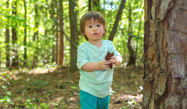 istock Toddler boy playing in the forest 1127203023