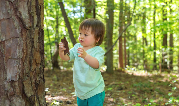 istock Toddler boy playing in the forest 1127203033
