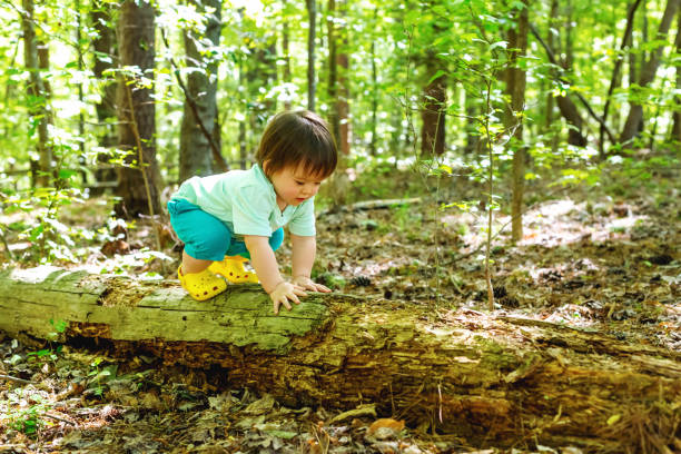 istock Toddler boy playing in the forest 1127203034