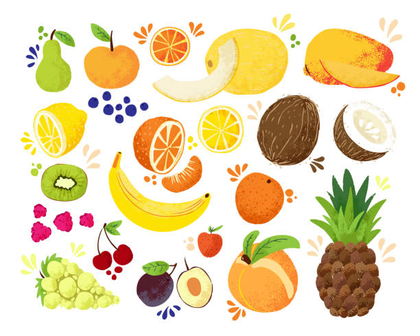 Set of colorful hand draw fruits tropical sweet fruits, and citrus fruit illustration. Apple, pear, orange, banana, pineapple, grapes, lemon, mango. Vector colored sketch illustration, isolated on white. Juicy Fruit and Berries Set of colorful hand draw fruits tropical sweet fruits, and citrus fruit illustration. Apple, pear, orange, banana, pineapple and other juicy fruits. Vector colored isolated sketch illustration mango fruit drawing stock illustrations