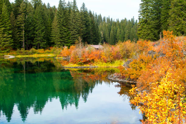 Serene landscape with fall color.