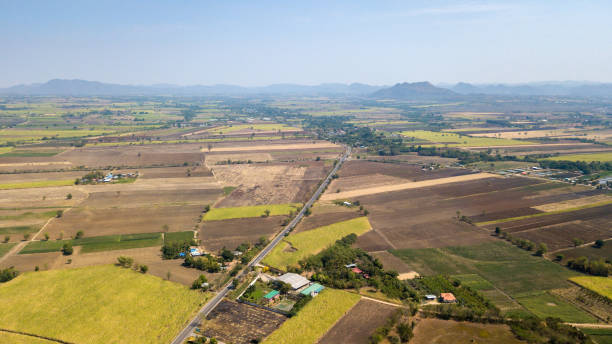 istock Preparation of sugarcane planting areas 1127209090