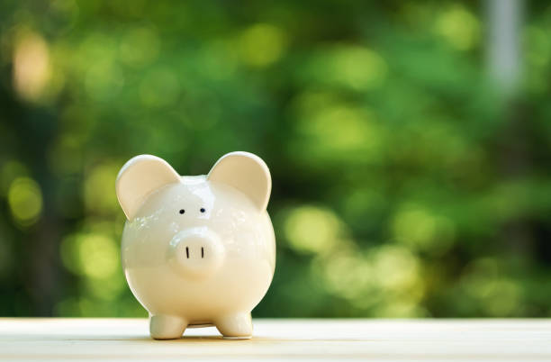 istock A piggy bank on forest background 1127209926
