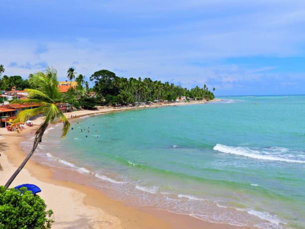 istock Japaratinga, Alagoas, Brazil. Fantastic landscape. 1127210818