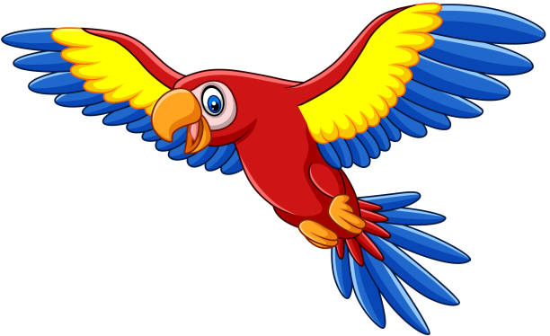 14,602 Parrot Cartoon Stock Photos, Pictures & Royalty-Free Images - iStock  | Funny parrot