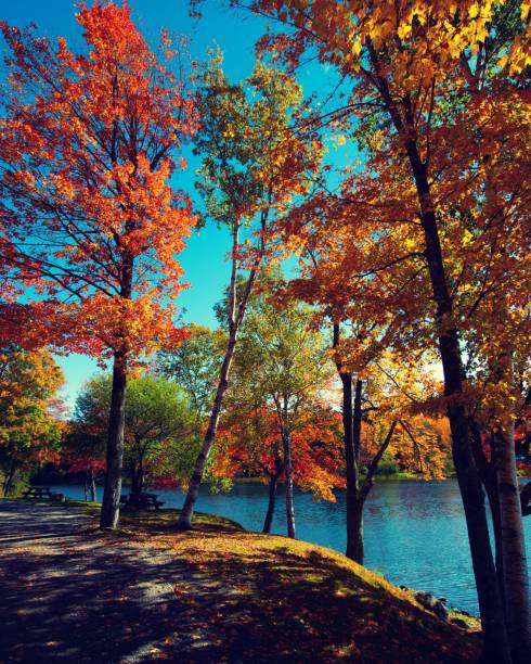 istock rest stop on kingsbury pond in Maine 1127219430