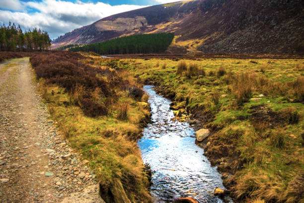 ケアンゴームズ国立公園とマークの水。アンガス, スコットランド, イギリス. - highlands region heather grass mountain range ストックフォトと画像