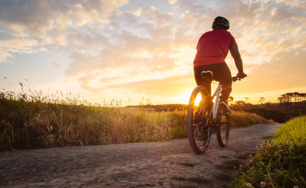Lets start adventure. Bike riding outdoor during sunset in Long Bay, Auckland, New Zealand. auckland region photos stock pictures, royalty-free photos & images