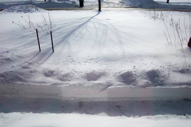 istock Snow Covered Yard with Shoveled Path for Delivery People after a Snowstorm 1127226451