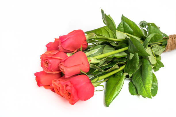 bouquet with red roses on white background bouquet with red roses on white background 기념일 stock pictures, royalty-free photos & images